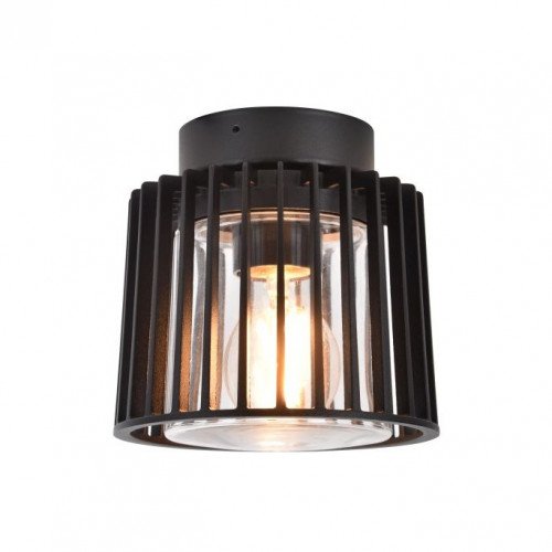 Buitenlamp Shyne plafondlamp zwart aluminium modern